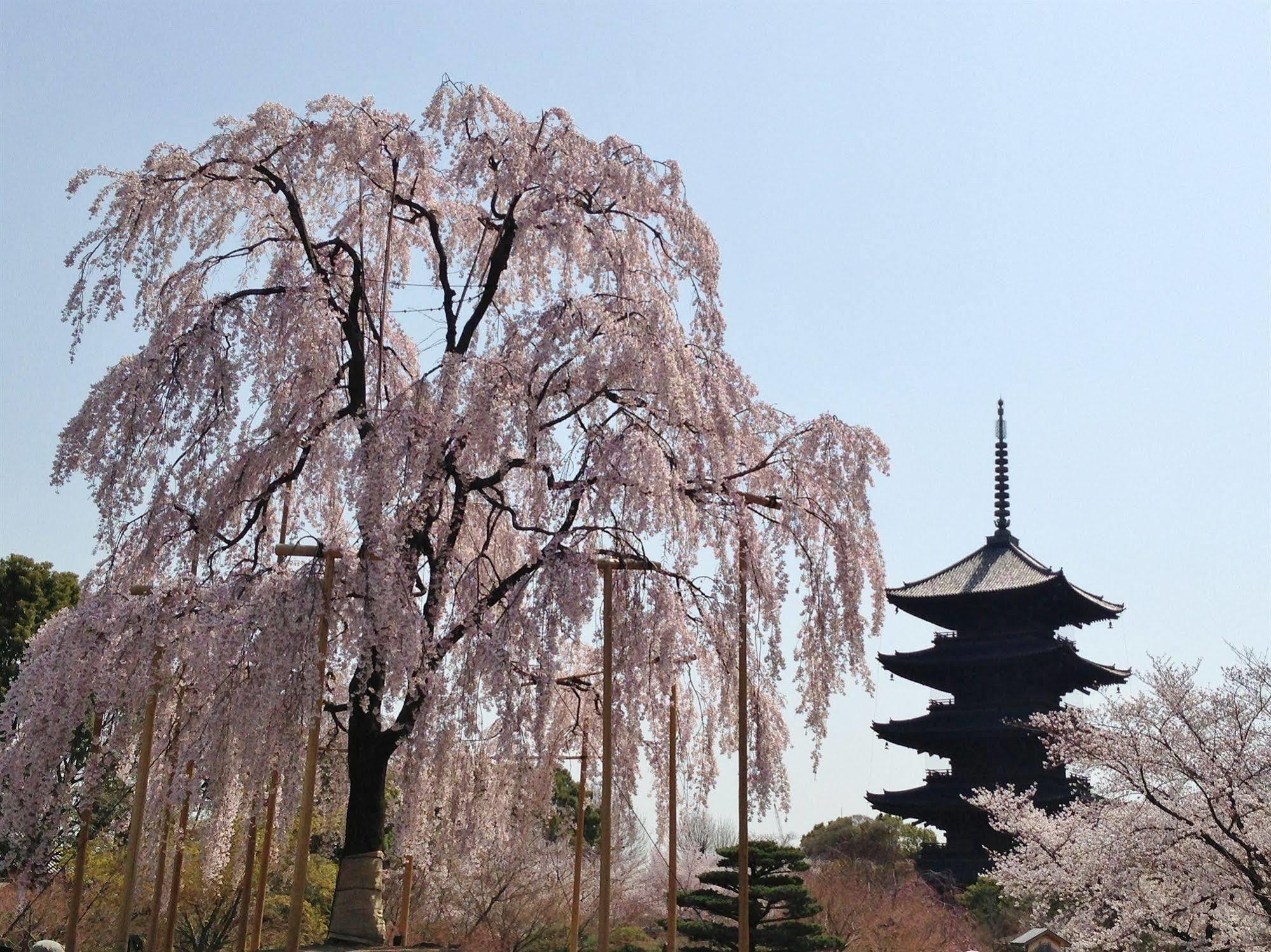 Livemax Kyoto Gojo Hotell Eksteriør bilde
